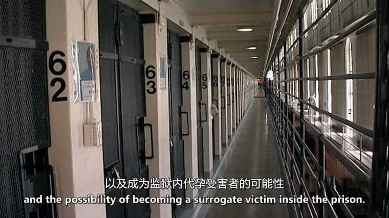 美国纪录片《心中的监狱 The Prison Within 2020》英语中英双字 官方纯净版 1080P/MKV/3.35G 暴力的根源插图1 美国纪录片《心中的监狱 The Prison Within 2020》英语中英双字 官方纯净版 1080P/MKV/3.35G 暴力的根源插图1