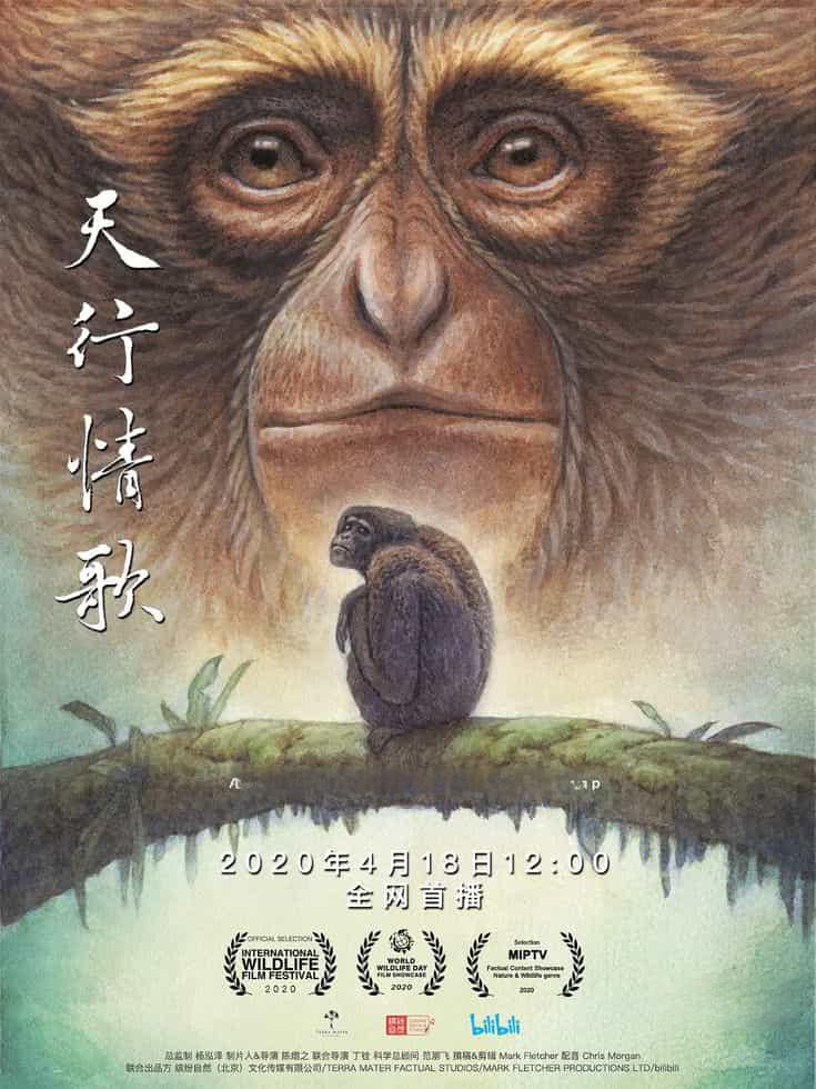 国产纪录片《天行情歌 A Song for Love 2020》国语中字 1080P/MP4/1.27G 中国自然生态插图 国产纪录片《天行情歌 A Song for Love 2020》国语中字 1080P/MP4/1.27G 中国自然生态插图