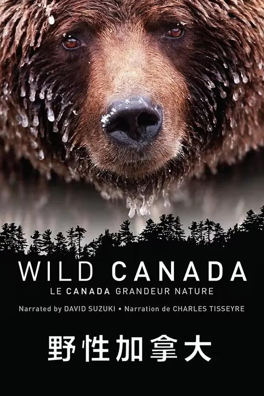 CBC纪录片《野性加拿大 Wild Canada》全5集 英语中字 720P高清 加拿大纪录片下载插图 CBC纪录片《野性加拿大 Wild Canada》全5集 英语中字 720P高清 加拿大纪录片下载插图