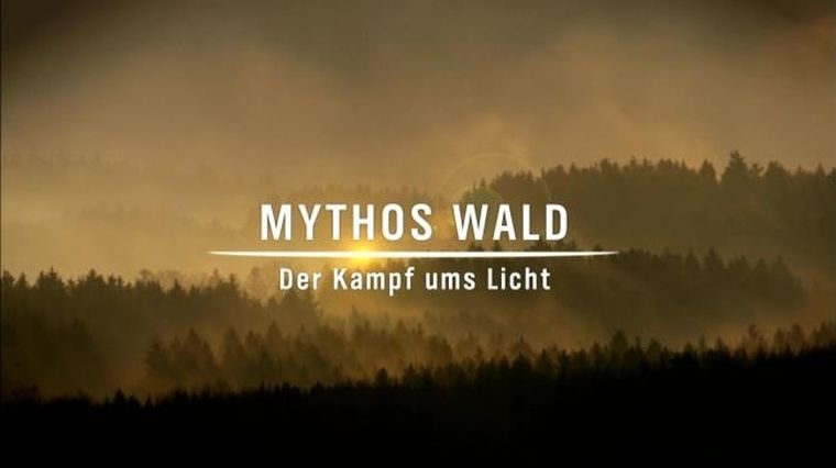 德国纪录片《神话的森林 Mythos Wald》全2集 德语中英字幕 1080P/MKV/7.14G 唯美森林纪录片插图1 德国纪录片《神话的森林 Mythos Wald》全2集 德语中英字幕 1080P/MKV/7.14G 唯美森林纪录片插图1