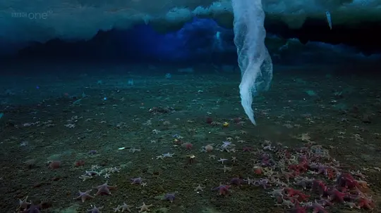 BBC纪录片《冰冻星球 Frozen Planet》全9集 英语中字 1080P高清 百度网盘下载插图2 BBC纪录片《冰冻星球 Frozen Planet》全9集 英语中字 1080P高清 百度网盘下载插图2
