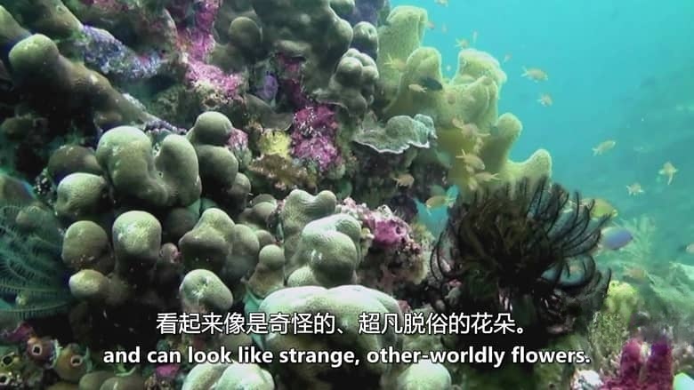 Netflix纪录片《你的荒野求生电影版:出逃的野兽 Animals on the Loose: A You vs. Wild Movie 2021》英语外挂中字 1080P/MKV/6.69G 荒野求生插图4 Netflix纪录片《你的荒野求生电影版:出逃的野兽 Animals on the Loose: A You vs. Wild Movie 2021》英语外挂中字 1080P/MKV/6.69G 荒野求生插图4