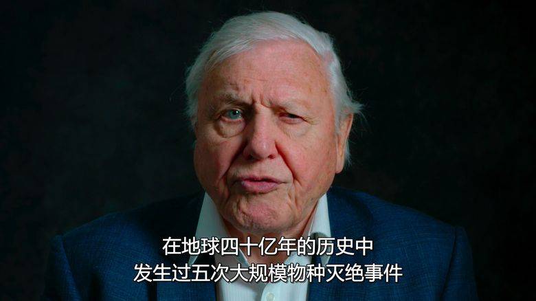 Netflix纪录片《大卫·爱登堡:地球上的一段生命旅程 David Attenborough: A Life on Our Planet 2020》英语中字 1080P/MKV/3.56G 自然界破坏性变化插图1 Netflix纪录片《大卫·爱登堡:地球上的一段生命旅程 David Attenborough: A Life on Our Planet 2020》英语中字 1080P/MKV/3.56G 自然界破坏性变化插图1