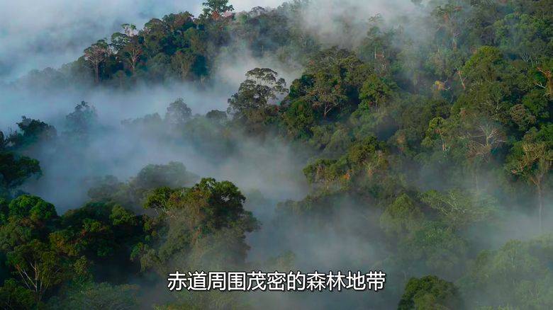 Netflix纪录片《大卫·爱登堡:地球上的一段生命旅程 David Attenborough: A Life on Our Planet 2020》英语中字 1080P/MKV/3.56G 自然界破坏性变化插图2 Netflix纪录片《大卫·爱登堡:地球上的一段生命旅程 David Attenborough: A Life on Our Planet 2020》英语中字 1080P/MKV/3.56G 自然界破坏性变化插图2