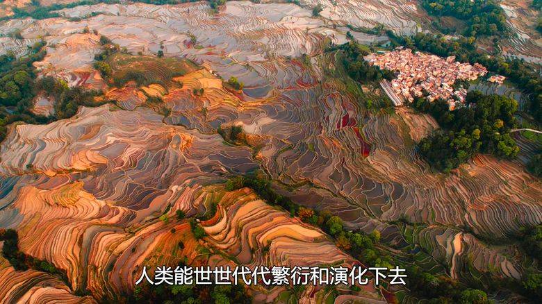 Netflix纪录片《大卫·爱登堡:地球上的一段生命旅程 David Attenborough: A Life on Our Planet 2020》英语中字 1080P/MKV/3.56G 自然界破坏性变化插图4 Netflix纪录片《大卫·爱登堡:地球上的一段生命旅程 David Attenborough: A Life on Our Planet 2020》英语中字 1080P/MKV/3.56G 自然界破坏性变化插图4