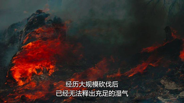 Netflix纪录片《大卫·爱登堡:地球上的一段生命旅程 David Attenborough: A Life on Our Planet 2020》英语中字 1080P/MKV/3.56G 自然界破坏性变化插图5 Netflix纪录片《大卫·爱登堡:地球上的一段生命旅程 David Attenborough: A Life on Our Planet 2020》英语中字 1080P/MKV/3.56G 自然界破坏性变化插图5