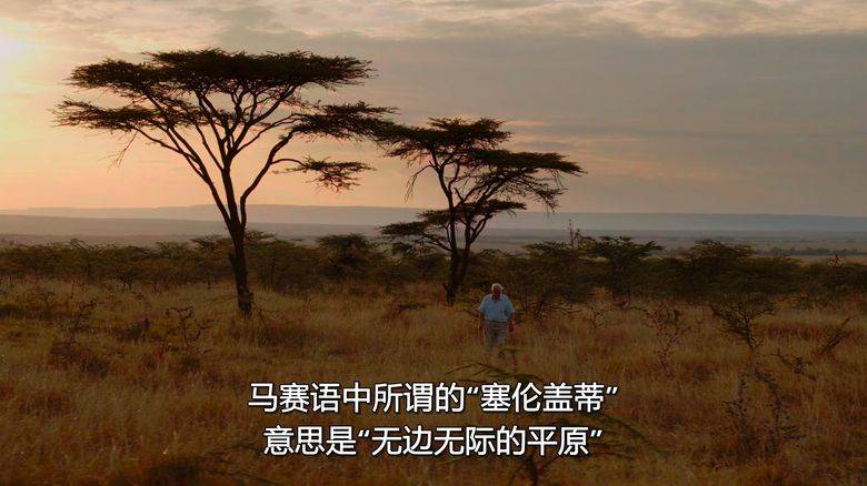 Netflix纪录片《大卫·爱登堡:地球上的一段生命旅程 David Attenborough: A Life on Our Planet 2020》英语中字 1080P/MKV/3.56G 自然界破坏性变化插图7 Netflix纪录片《大卫·爱登堡:地球上的一段生命旅程 David Attenborough: A Life on Our Planet 2020》英语中字 1080P/MKV/3.56G 自然界破坏性变化插图7