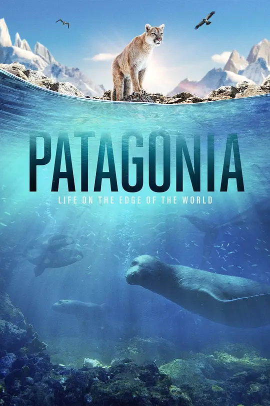 CNN纪录片《巴塔哥尼亚:世界边缘的生活 Patagonia: Life on the Edge of the World 2022》全6集 英语外挂中字 官方纯净版 1080P/MP4/16.5G 探索最后未被触及之地插图 CNN纪录片《巴塔哥尼亚:世界边缘的生活 Patagonia: Life on the Edge of the World 2022》全6集 英语外挂中字 官方纯净版 1080P/MP4/16.5G 探索最后未被触及之地插图