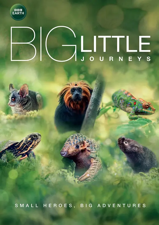 PBS纪录片《小动物的生命奇迹 Big Little Journeys 2023》全3集 英语中英双字 无水印纯净版 1080P/MKV/6.72G 微小但强大的动物插图 PBS纪录片《小动物的生命奇迹 Big Little Journeys 2023》全3集 英语中英双字 无水印纯净版 1080P/MKV/6.72G 微小但强大的动物插图
