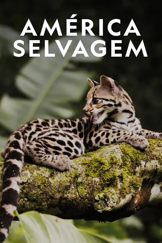 西班牙纪录片《野性美洲 Wild Latam 2020》全10集 英语中英双字 官方纯净版 1080P/MKV/33.3G 美洲野生动物插图 西班牙纪录片《野性美洲 Wild Latam 2020》全10集 英语中英双字 官方纯净版 1080P/MKV/33.3G 美洲野生动物插图