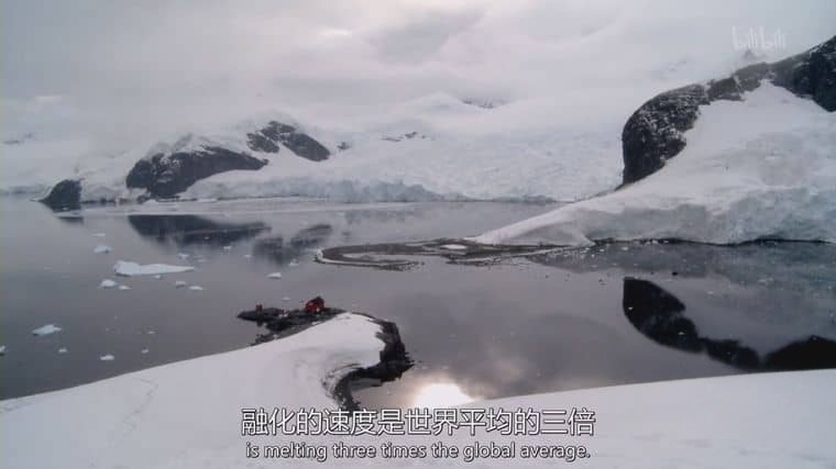 澳大利亚纪录片《奇妙学校 南极 Cool School Antarctica 2010》英语中英双字 1080P/MP4/1.31G 全球变暖插图1 澳大利亚纪录片《奇妙学校 南极 Cool School Antarctica 2010》英语中英双字 1080P/MP4/1.31G 全球变暖插图1