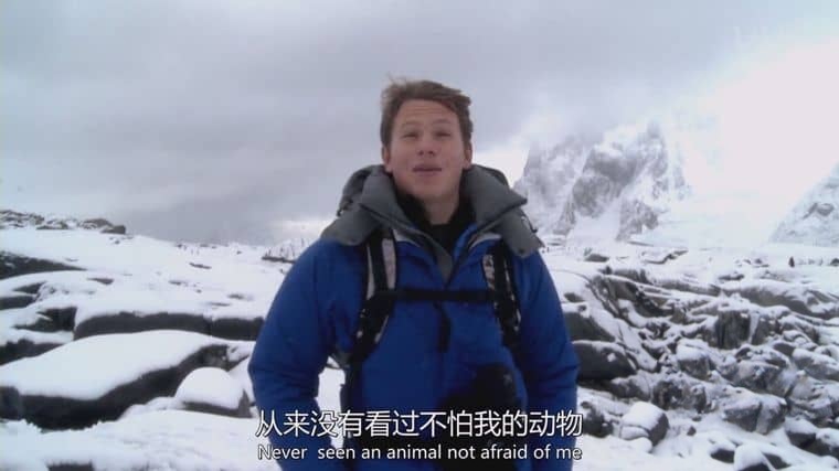 澳大利亚纪录片《奇妙学校 南极 Cool School Antarctica 2010》英语中英双字 1080P/MP4/1.31G 全球变暖插图3 澳大利亚纪录片《奇妙学校 南极 Cool School Antarctica 2010》英语中英双字 1080P/MP4/1.31G 全球变暖插图3