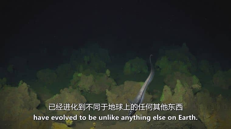 央视纪录片《探索发现-稻之情缘 2017》国语中字 720P/MP4/528M 水稻纪录片下载插图2 央视纪录片《探索发现-稻之情缘 2017》国语中字 720P/MP4/528M 水稻纪录片下载插图2