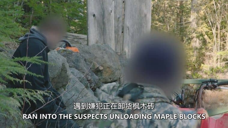 央视纪录片《探索发现-稻之情缘 2017》国语中字 720P/MP4/528M 水稻纪录片下载插图3 央视纪录片《探索发现-稻之情缘 2017》国语中字 720P/MP4/528M 水稻纪录片下载插图3