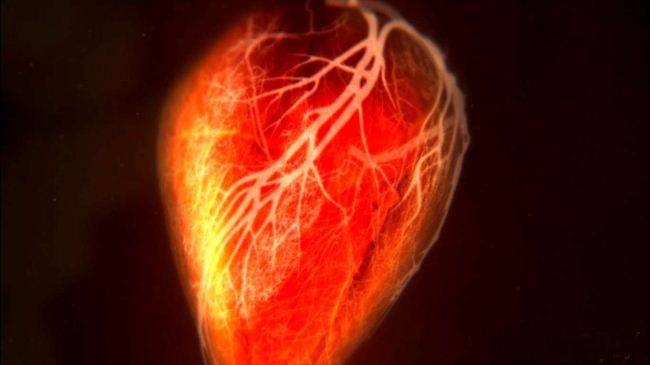 BBC纪录片《人体奥秘 Inside the Human Body 2011》全4集 国粤英三语内封中英字 720P/MKV/6.4GB 人体探索纪录片插图4 BBC纪录片《人体奥秘 Inside the Human Body 2011》全4集 国粤英三语内封中英字 720P/MKV/6.4GB 人体探索纪录片插图4
