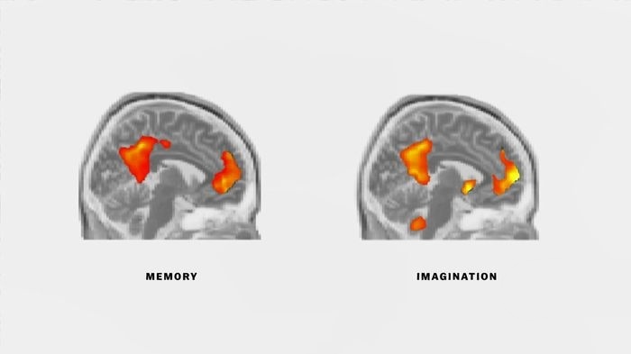 Netflix纪录片《头脑解密 The Mind, Explained 2019》全5集 英语中字 720P/MKV/3.5G 人体探索纪录片下载插图2 Netflix纪录片《头脑解密 The Mind, Explained 2019》全5集 英语中字 720P/MKV/3.5G 人体探索纪录片下载插图2