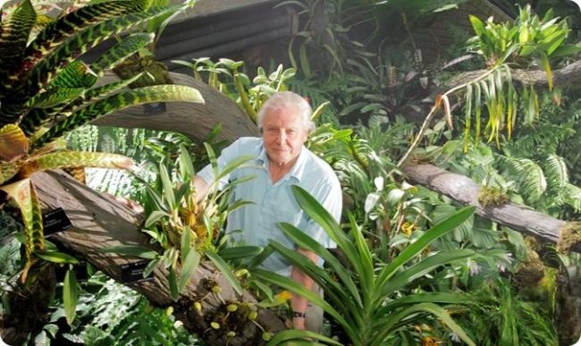 BBC纪录片《植物王国 Kingdom of Plants》全3集 英语双字 1080P/MKV/12.9G 植物纪录片插图3