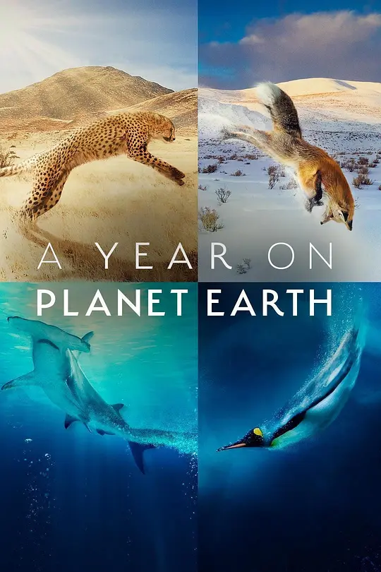 ITV纪录片《地球上的一年 A Year on Planet Earth 2022》第一季全6集 英语中英双字 官方纯净版 1080P/MKV/15.8G 动物四季插图 ITV纪录片《地球上的一年 A Year on Planet Earth 2022》第一季全6集 英语中英双字 官方纯净版 1080P/MKV/15.8G 动物四季插图