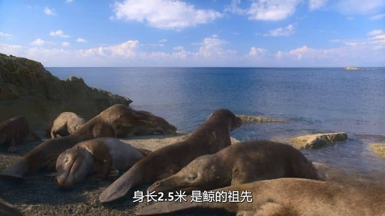 Netflix纪录片《我们星球上的生命 Life on Our Planet 2023》第一季全8集 英语多国中字 无水印纯净版 1080P/MKV/21G 地球生命进化史插图2 Netflix纪录片《我们星球上的生命 Life on Our Planet 2023》第一季全8集 英语多国中字 无水印纯净版 1080P/MKV/21G 地球生命进化史插图2