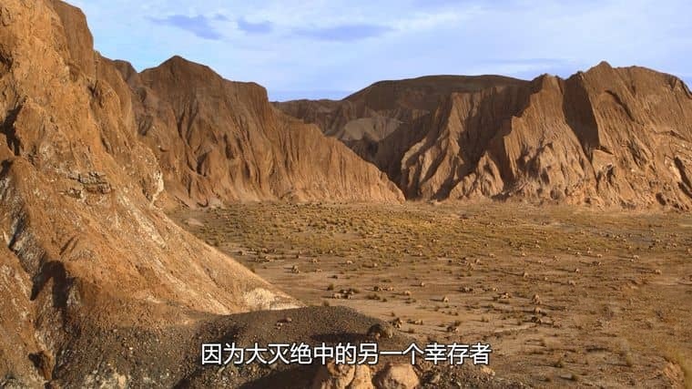 Netflix纪录片《我们星球上的生命 Life on Our Planet 2023》第一季全8集 英语多国中字 无水印纯净版 1080P/MKV/21G 地球生命进化史插图4 Netflix纪录片《我们星球上的生命 Life on Our Planet 2023》第一季全8集 英语多国中字 无水印纯净版 1080P/MKV/21G 地球生命进化史插图4