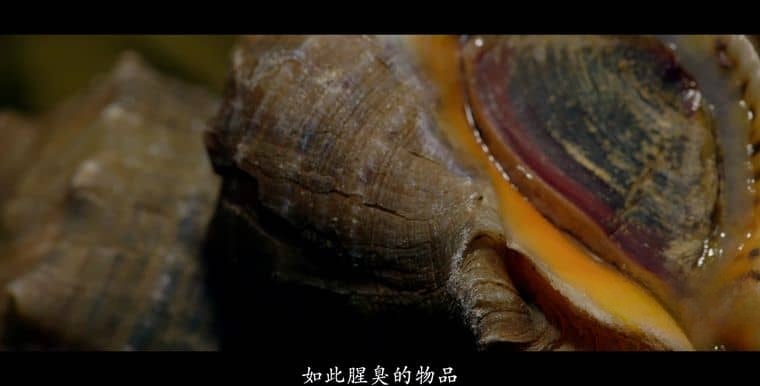 国产纪录片《惟有香如故 2023》全5集 国语中字 1080P/MP4/1.69G 香料与历史插图3 国产纪录片《惟有香如故 2023》全5集 国语中字 1080P/MP4/1.69G 香料与历史插图3