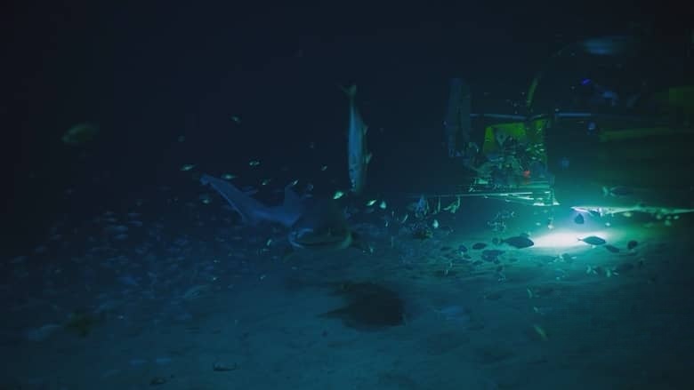 国家地理《海洋探索者号 OceanXplorers 2024》第一季全6集 英语中字 720P/MP4/6.24G 海洋探索插图3