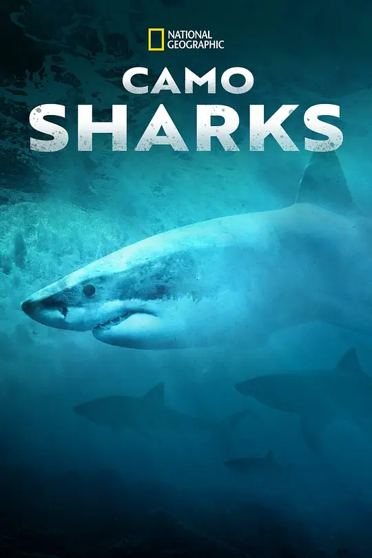 国家地理《迷彩鲨 Camo Sharks 2022》英语多国中字 官方纯净版 1080P/MKV/2.45G 变色鲨鱼插图 国家地理《迷彩鲨 Camo Sharks 2022》英语多国中字 官方纯净版 1080P/MKV/2.45G 变色鲨鱼插图