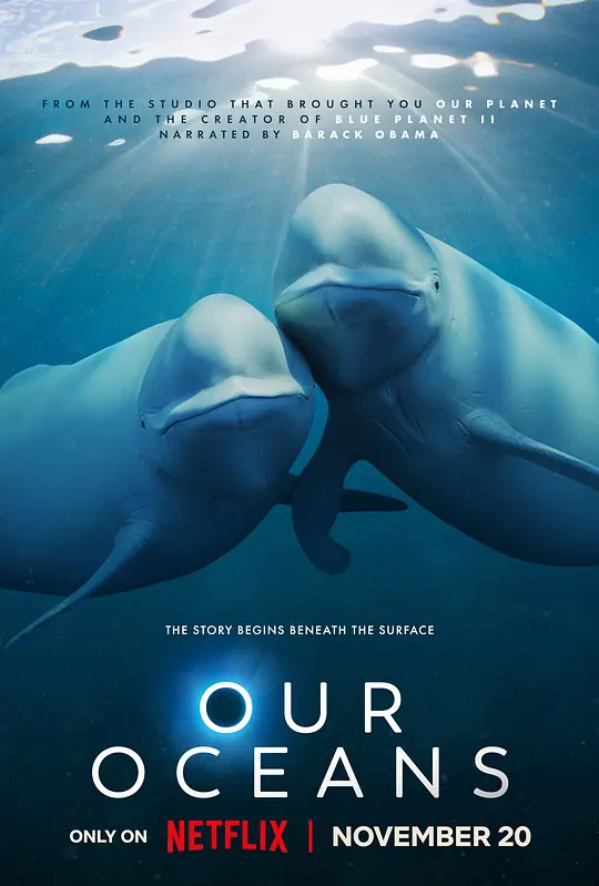Netflix纪录片《我们的海洋 Our Oceans 2024》第一季全5集 英语多国字幕 无水印纯净版 1080P/MKV/16.4G 海洋生态插图 Netflix纪录片《我们的海洋 Our Oceans 2024》第一季全5集 英语多国字幕 无水印纯净版 1080P/MKV/16.4G 海洋生态插图