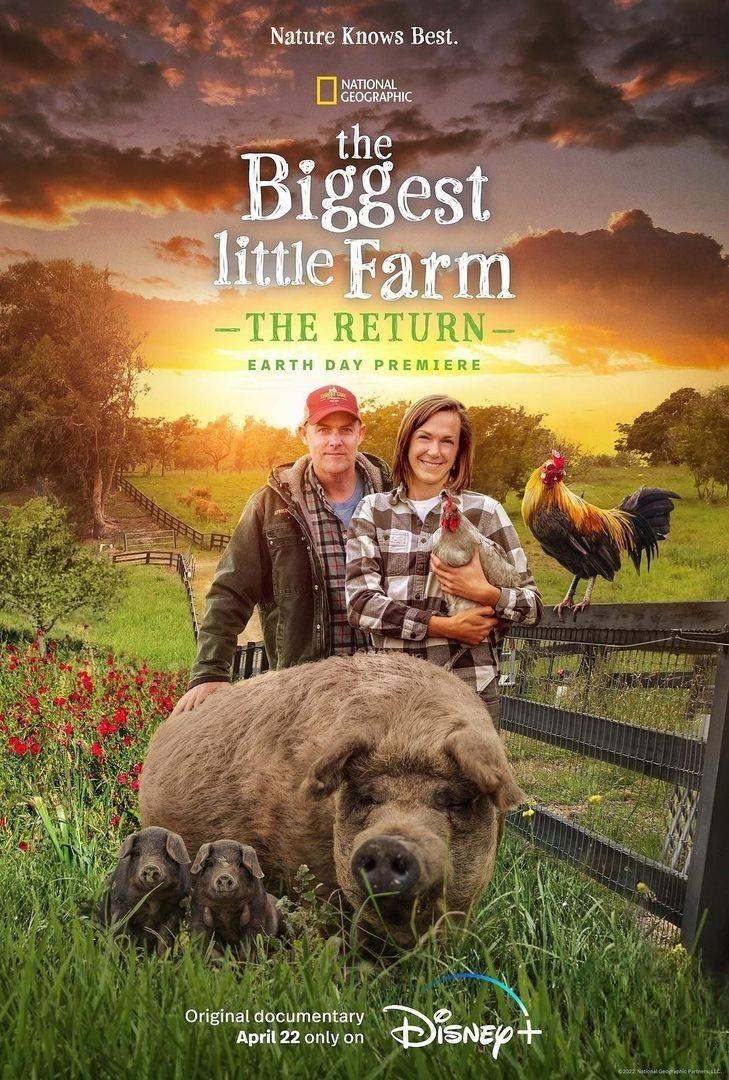 国家地理《最大的小小农场:回归 The Biggest Little Farm: The Return 2022》英语中字 1080P/MP4/1.3G 荒地变农场插图 国家地理《最大的小小农场:回归 The Biggest Little Farm: The Return 2022》英语中字 1080P/MP4/1.3G 荒地变农场插图