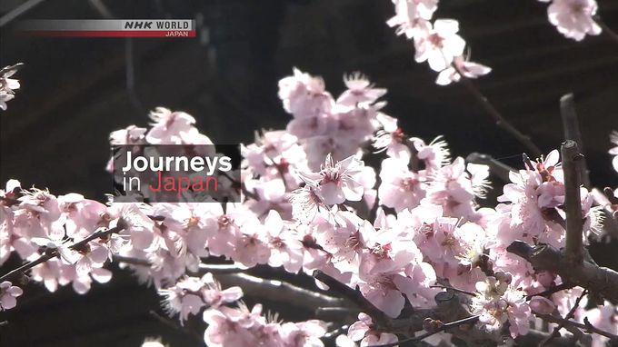 NHK纪录片《旅行在日本 Journeys in Japan 2017》全10集 英语版 1080P/MP4/4.59G 日本纪录片插图 NHK纪录片《旅行在日本 Journeys in Japan 2017》全10集 英语版 1080P/MP4/4.59G 日本纪录片插图