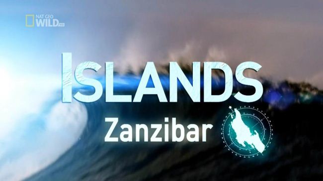 国家地理《狂野岛屿—桑给巴尔岛 Zanzibar Island 2012》英语无字 720P/MKV/1.24GB 桑给巴尔纪录片插图 国家地理《狂野岛屿—桑给巴尔岛 Zanzibar Island 2012》英语无字 720P/MKV/1.24GB 桑给巴尔纪录片插图