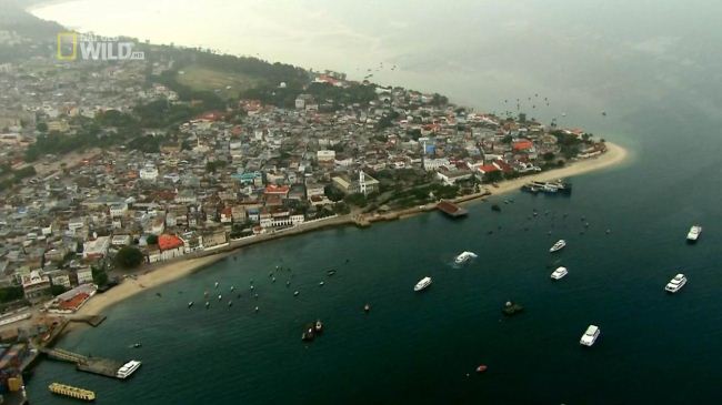 国家地理《狂野岛屿—桑给巴尔岛 Zanzibar Island 2012》英语无字 720P/MKV/1.24GB 桑给巴尔纪录片插图1 国家地理《狂野岛屿—桑给巴尔岛 Zanzibar Island 2012》英语无字 720P/MKV/1.24GB 桑给巴尔纪录片插图1