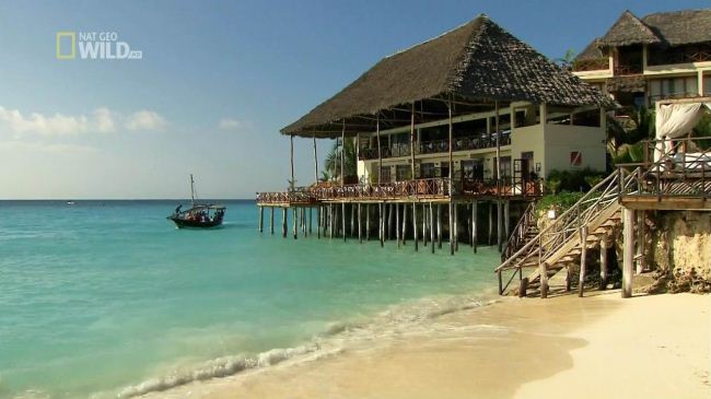 国家地理《狂野岛屿—桑给巴尔岛 Zanzibar Island 2012》英语无字 720P/MKV/1.24GB 桑给巴尔纪录片插图3 国家地理《狂野岛屿—桑给巴尔岛 Zanzibar Island 2012》英语无字 720P/MKV/1.24GB 桑给巴尔纪录片插图3