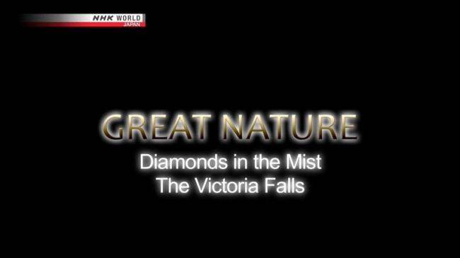 NHK纪录片《水雾中的珍珠:维多利亚瀑布 Diamonds in the Mist The Victoria Falls 2014》英语无字 720P/MKV/1.09GB 维多利亚瀑布插图 NHK纪录片《水雾中的珍珠:维多利亚瀑布 Diamonds in the Mist The Victoria Falls 2014》英语无字 720P/MKV/1.09GB 维多利亚瀑布插图