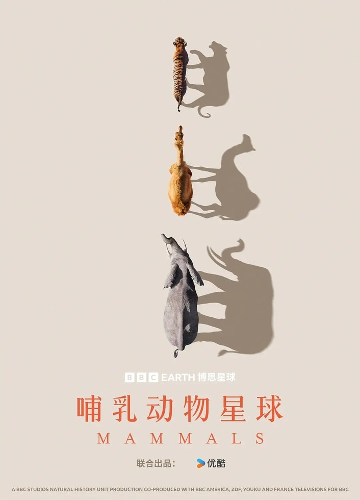 BBC纪录片《哺乳动物星球 Mammals 2024》全6集 国英双语中英双字 4K超清/2160P/MPKV/17G 哺乳动物星球插图 BBC纪录片《哺乳动物星球 Mammals 2024》全6集 国英双语中英双字 4K超清/2160P/MPKV/17G 哺乳动物星球插图