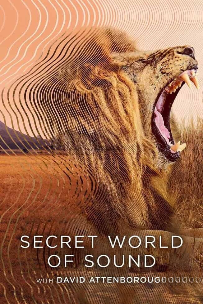 英国纪录片《大卫·艾登堡:大自然的声音 Secret World of Sound with David Attenborough 2024》全3集 英语中英双字 无水印纯净版 1080P/MKV/3.1G 自然之声插图 英国纪录片《大卫·艾登堡:大自然的声音 Secret World of Sound with David Attenborough 2024》全3集 英语中英双字 无水印纯净版 1080P/MKV/3.1G 自然之声插图