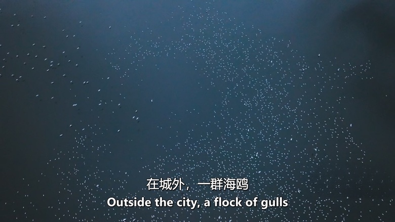 英国纪录片《大卫·艾登堡:大自然的声音 Secret World of Sound with David Attenborough 2024》全3集 英语中英双字 无水印纯净版 1080P/MKV/3.1G 自然之声插图5 英国纪录片《大卫·艾登堡:大自然的声音 Secret World of Sound with David Attenborough 2024》全3集 英语中英双字 无水印纯净版 1080P/MKV/3.1G 自然之声插图5