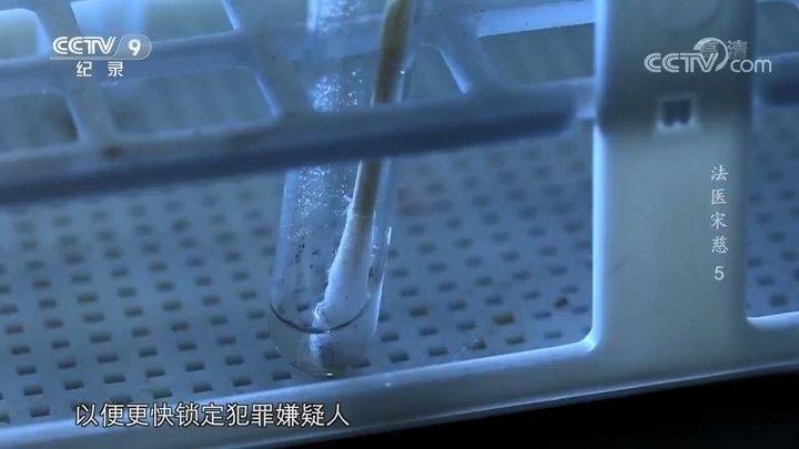 央视纪录片《法医宋慈》全6集 国语中字 720P/MP4/1.94G 纪录片下载插图4 央视纪录片《法医宋慈》全6集 国语中字 720P/MP4/1.94G 纪录片下载插图4