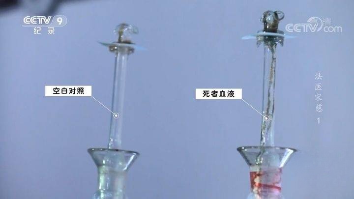 央视纪录片《法医宋慈》全6集 国语中字 720P/MP4/1.94G 纪录片下载插图6 央视纪录片《法医宋慈》全6集 国语中字 720P/MP4/1.94G 纪录片下载插图6