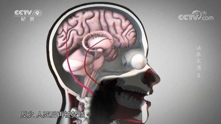 央视纪录片《法医宋慈》全6集 国语中字 720P/MP4/1.94G 纪录片下载插图8 央视纪录片《法医宋慈》全6集 国语中字 720P/MP4/1.94G 纪录片下载插图8