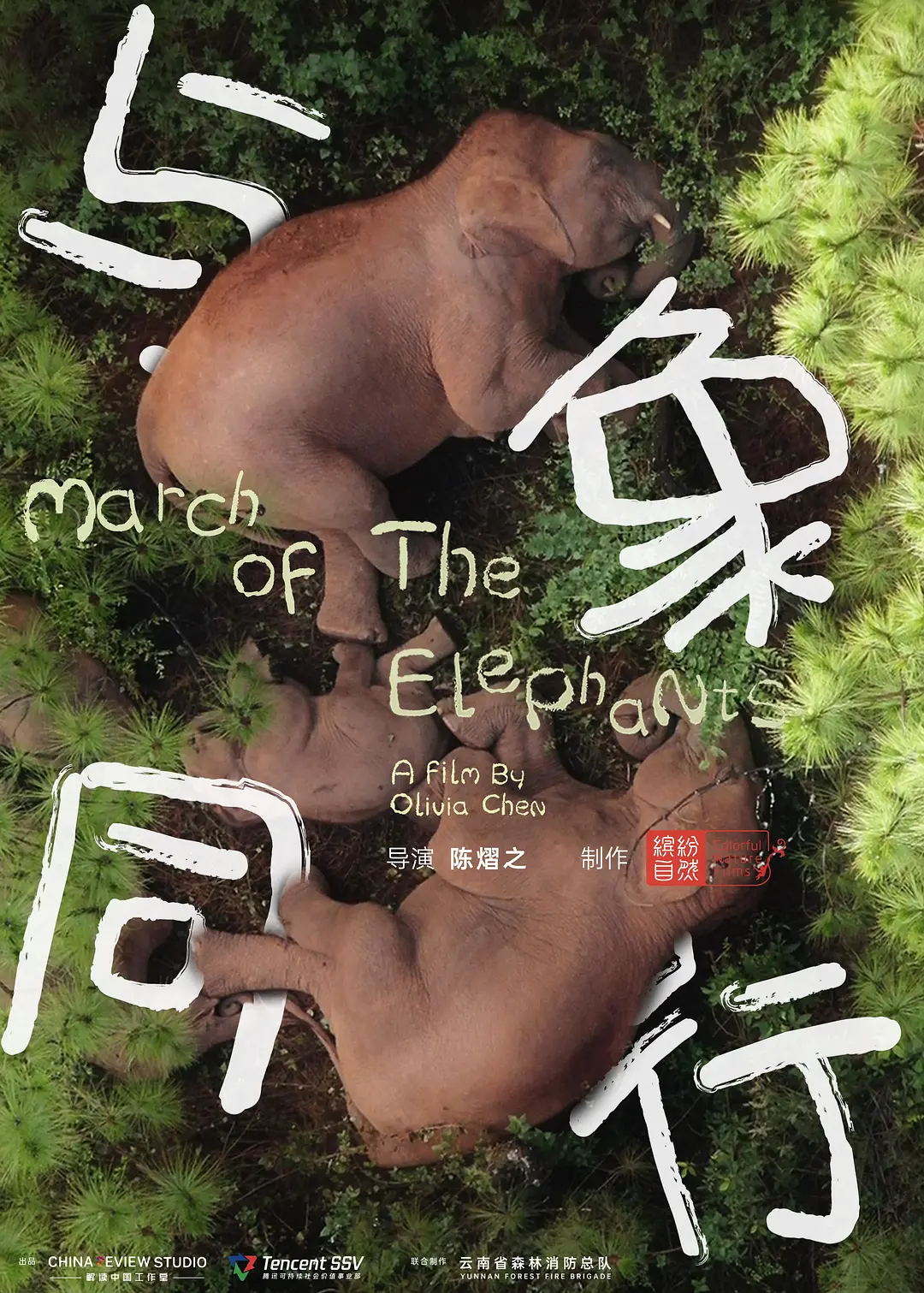国产纪录片《与象同行 March of the Elephants 2022》国语中字 1080P/MP4/968M 亚洲象插图 国产纪录片《与象同行 March of the Elephants 2022》国语中字 1080P/MP4/968M 亚洲象插图