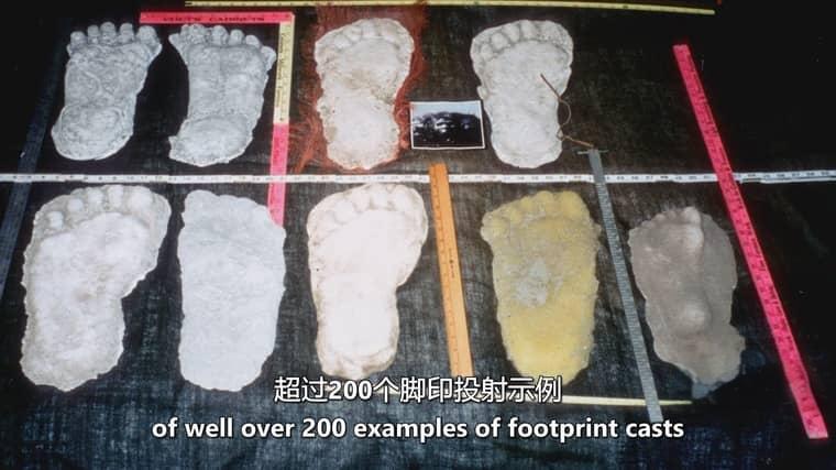 历史频道纪录片《远古外星人/古代外星人 Ancient Aliens》第20季全10集 英语中英双字 无水印纯净版 1080P/MKV/16.1G插图4