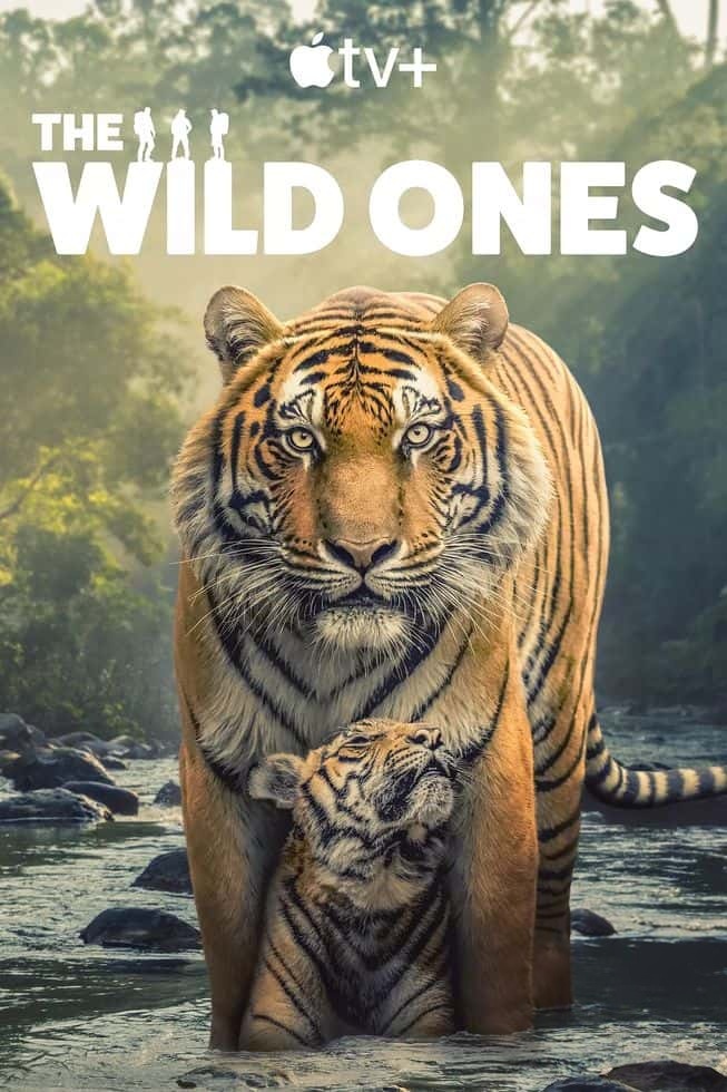AppleTV纪录片《野性生灵 The Wild Ones 2025》全6集 英语多国字幕 无水印纯净版 4K超清/2160P/MKV/35.5G 生灵守护者插图 AppleTV纪录片《野性生灵 The Wild Ones 2025》全6集 英语多国字幕 无水印纯净版 4K超清/2160P/MKV/35.5G 生灵守护者插图