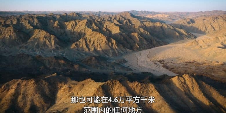 AppleTV纪录片《野性生灵 The Wild Ones 2025》全6集 英语多国字幕 无水印纯净版 4K超清/2160P/MKV/35.5G 生灵守护者插图7 AppleTV纪录片《野性生灵 The Wild Ones 2025》全6集 英语多国字幕 无水印纯净版 4K超清/2160P/MKV/35.5G 生灵守护者插图7