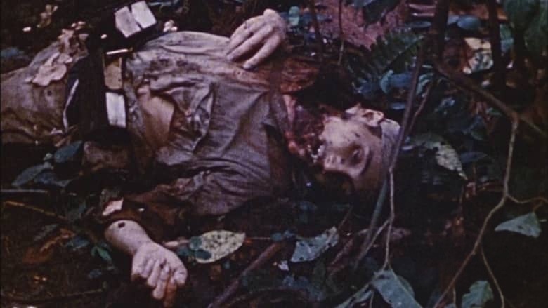 历史频道《高清二战 WWII in HD 2009》全10集 英语中英双字 无水印纯净版 1080P/MKV/35.2G 二战纪录片插图6 历史频道《高清二战 WWII in HD 2009》全10集 英语中英双字 无水印纯净版 1080P/MKV/35.2G 二战纪录片插图6