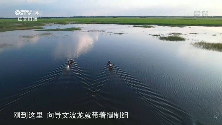 国产纪录片《罪案现场实录/打击犯罪行动 2019》全12集 国语无字 4K低码/2160P/MP4/10G插图5 国产纪录片《罪案现场实录/打击犯罪行动 2019》全12集 国语无字 4K低码/2160P/MP4/10G插图5
