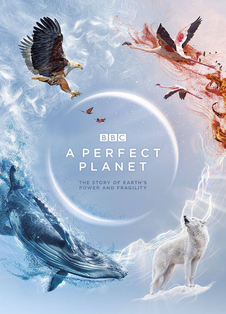 BBC纪录片《完美星球/蓝筹自然历史纪录片 A perfect planet 2020》全5集 英语中字 4K高清/MKV/38.3G插图 BBC纪录片《完美星球/蓝筹自然历史纪录片 A perfect planet 2020》全5集 英语中字 4K高清/MKV/38.3G插图