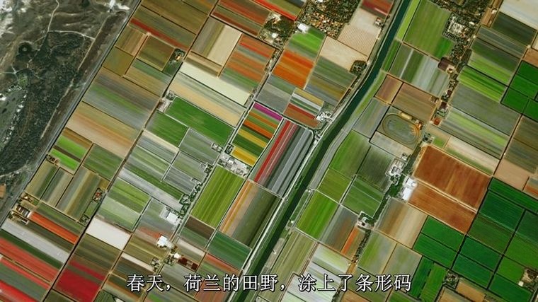 BBC纪录片《从太空看地球/地球上生命故事 Earth From Space 2019》全4集 英语中字 官方高码纯净版 1080P/MKV/19.9G插图6 BBC纪录片《从太空看地球/地球上生命故事 Earth From Space 2019》全4集 英语中字 官方高码纯净版 1080P/MKV/19.9G插图6