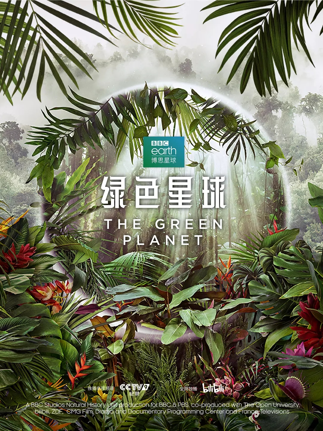 BBC纪录片《绿色星球/不为人知的植物世界 The Green Planet 2022》全5集 国英双语中英双字 4K高清/MP4/38.5G插图 BBC纪录片《绿色星球/不为人知的植物世界 The Green Planet 2022》全5集 国英双语中英双字 4K高清/MP4/38.5G插图