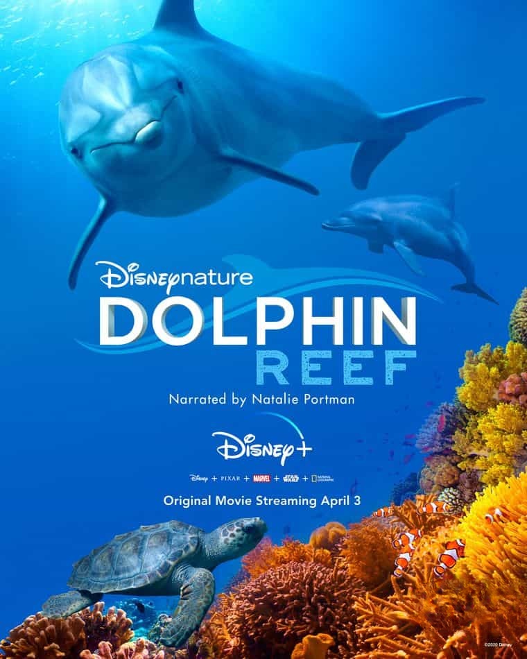 迪士尼纪录片《海豚礁/海豚纪录片 Dolphin Reef 2020》英语多国中字 官方纯净版 4K超清/MKV/8.88G插图 迪士尼纪录片《海豚礁/海豚纪录片 Dolphin Reef 2020》英语多国中字 官方纯净版 4K超清/MKV/8.88G插图